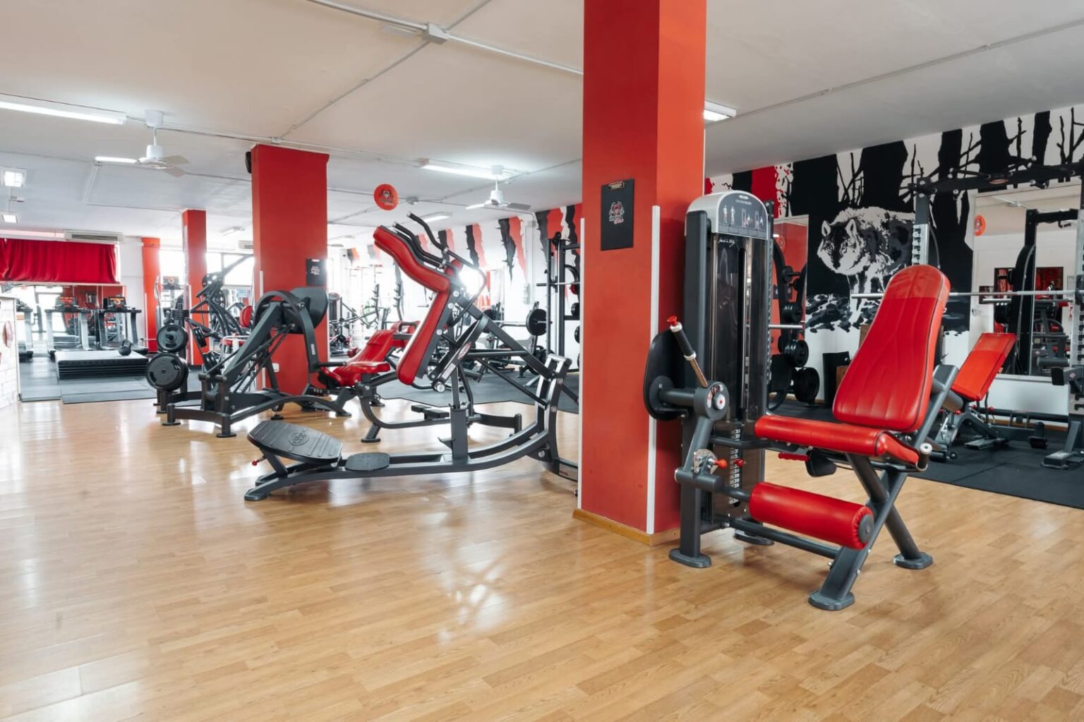 sala pesi con attrezzature professionali nella palestra Happy Fitness Pretoro